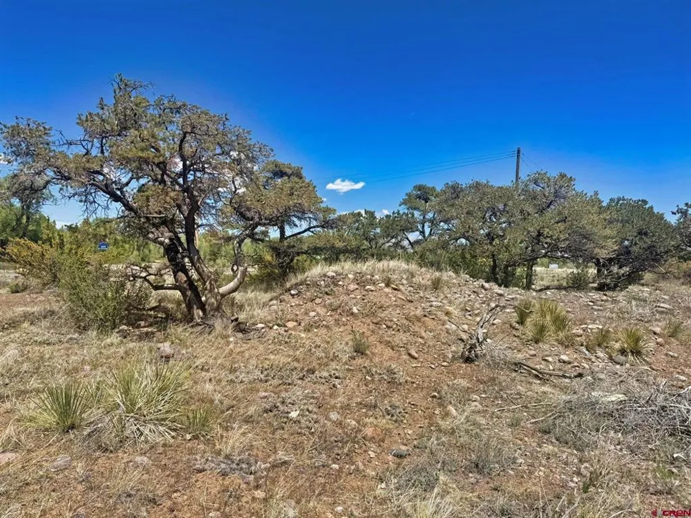 Kiowa Trail South Fork, CO 81154