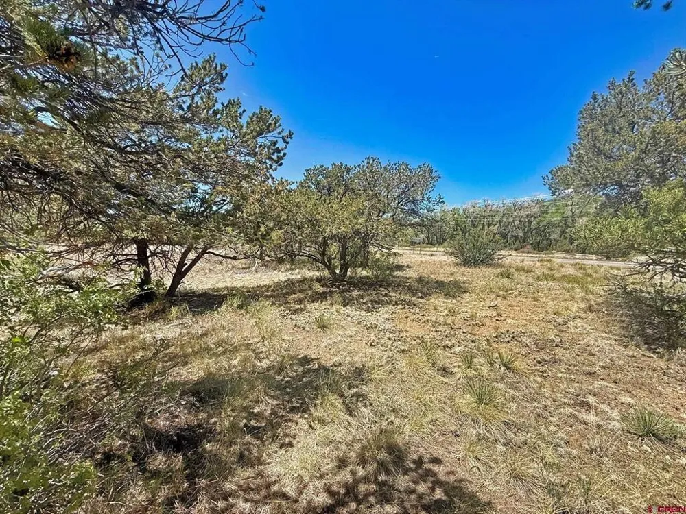 Kiowa Trail South Fork, CO 81154