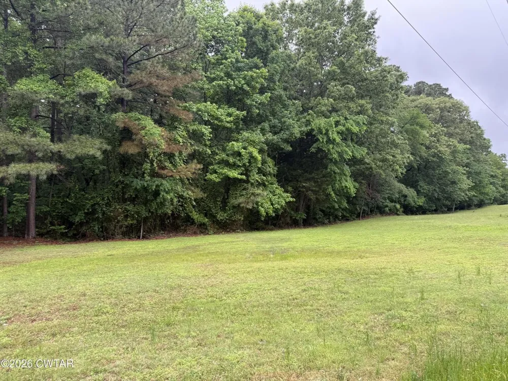 0 Mathis Crossing Rd Milan, TN 38358