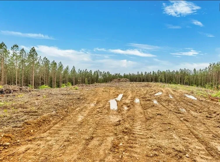 112 Cabin Rd Hohenwald, TN 38462
