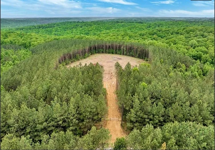 112 Cabin Rd Hohenwald, TN 38462