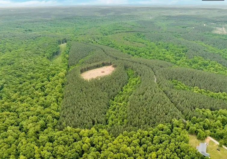 112 Cabin Rd Hohenwald, TN 38462