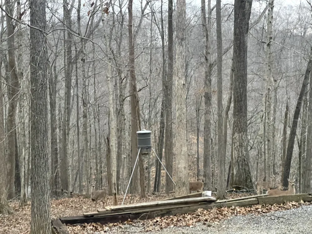 3575 Tyree Springs Rd Hendersonville, TN 37075
