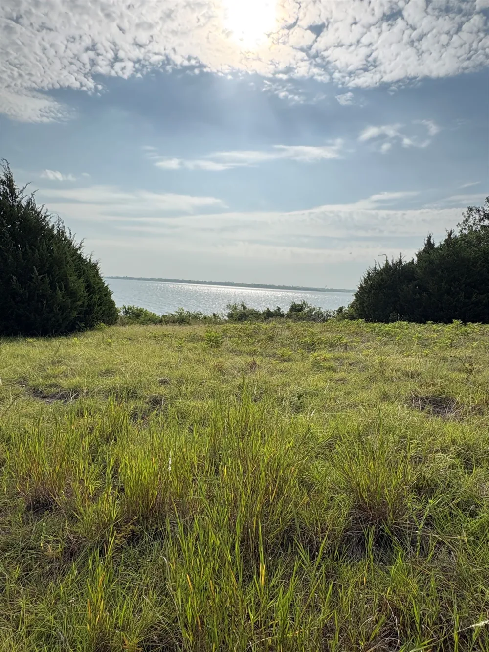 County Road 439 Princeton, TX 75407