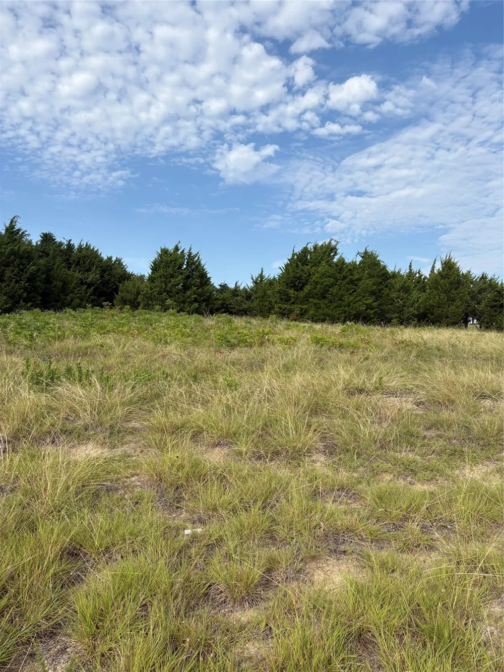 County Road 439 Princeton, TX 75407