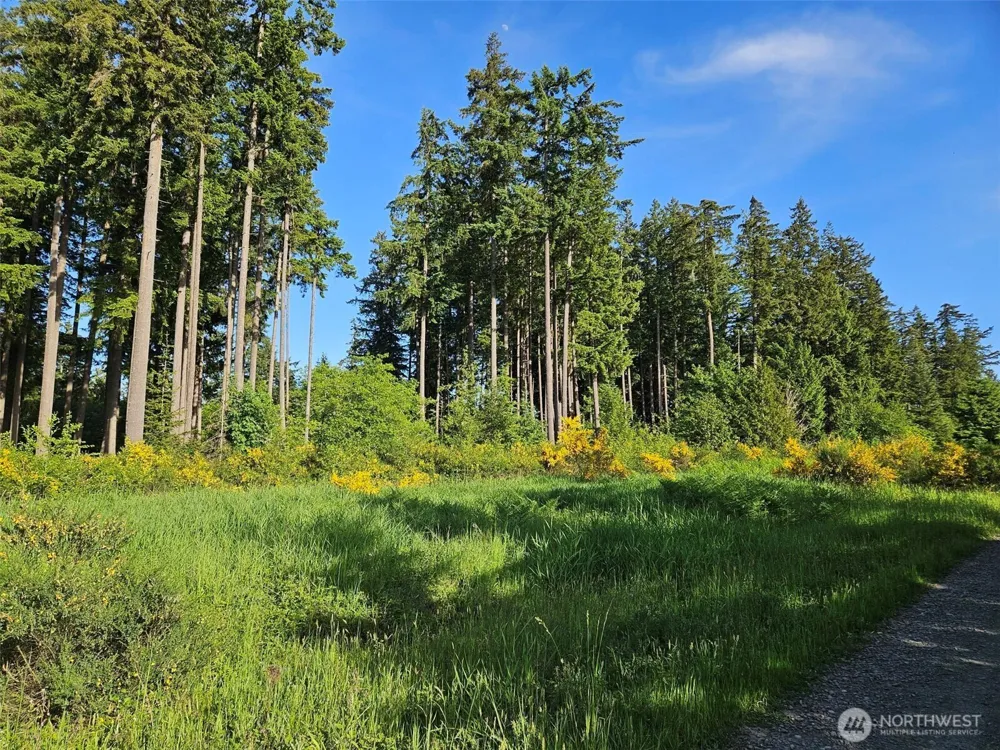 5033 Polehn Road SW Rochester, WA 98579
