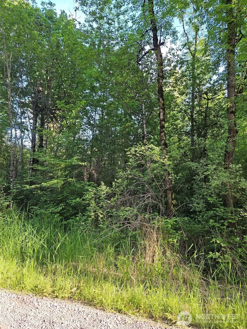 5033 Polehn Road SW Rochester, WA 98579