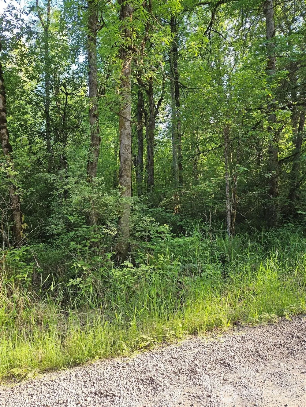 5033 Polehn Road SW Rochester, WA 98579