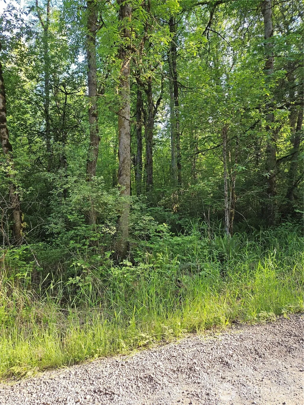 5033 Polehn Road SW Rochester, WA 98579