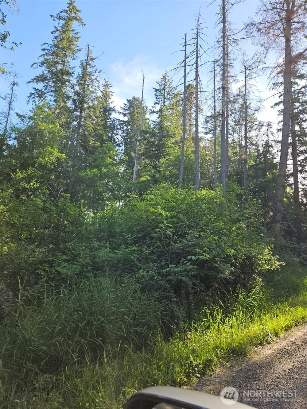 5033 Polehn Road SW Rochester, WA 98579