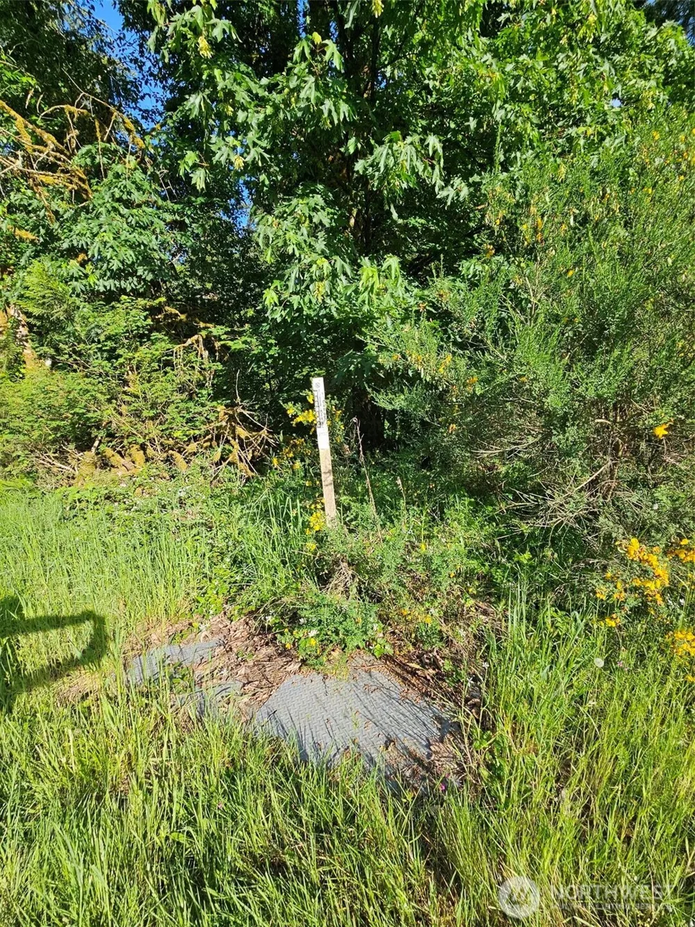 5033 Polehn Road SW Rochester, WA 98579