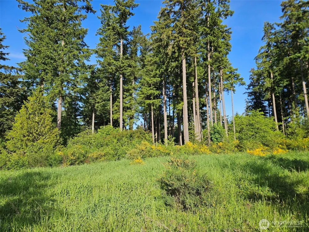 5033 Polehn Road SW Rochester, WA 98579
