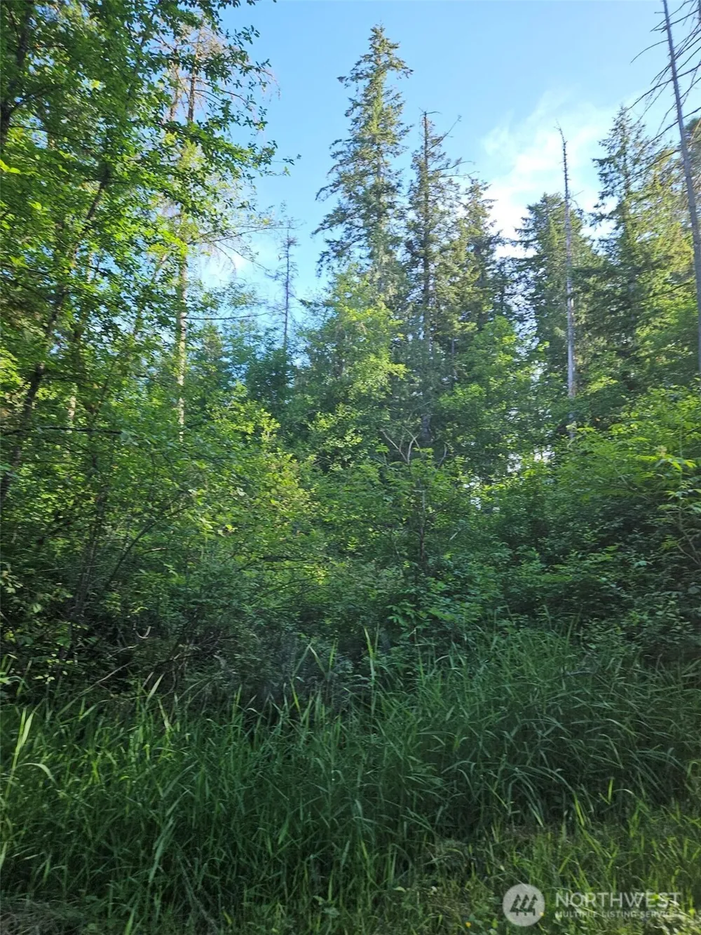 5033 Polehn Road SW Rochester, WA 98579