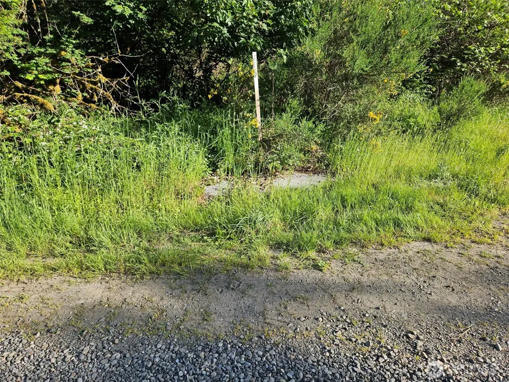 5033 Polehn Road SW Rochester, WA 98579