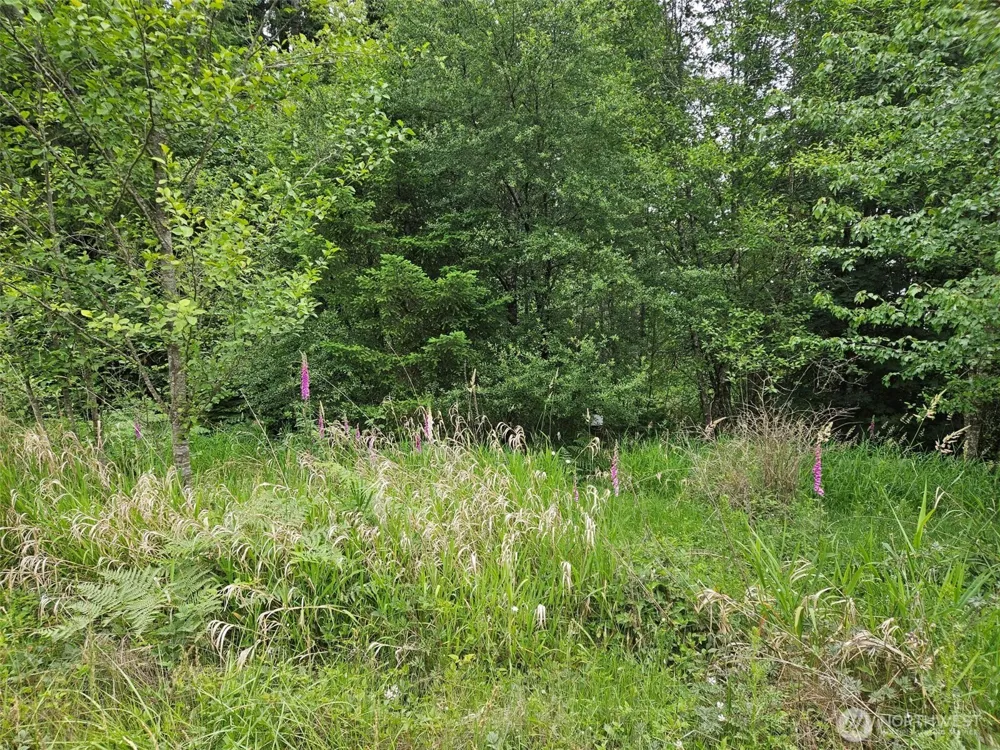 5033 Polehn Road SW Rochester, WA 98579