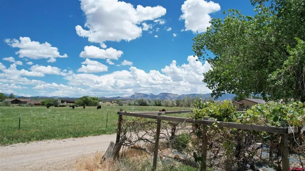 27908 Road M Dolores, CO 81323