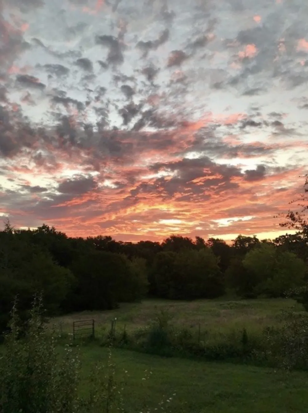 County Road 2320 Terrell, TX 75160