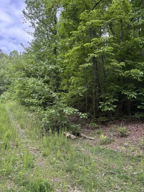 225 Hollow Road