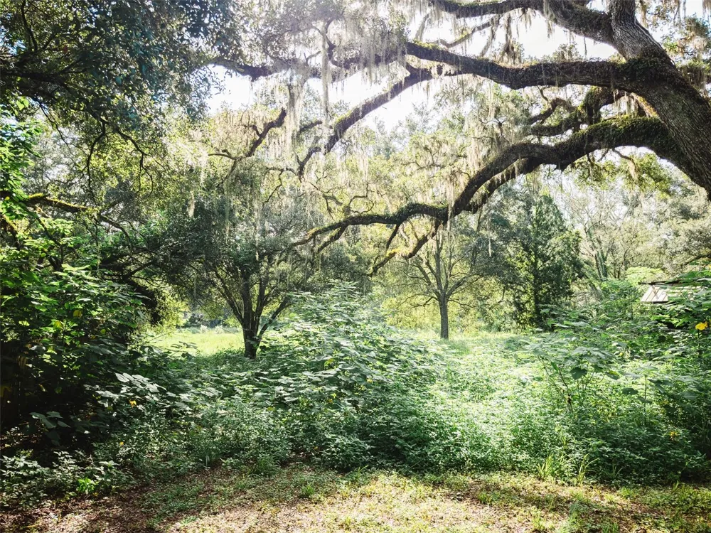 4367 S US 301 Bushnell, FL 33513