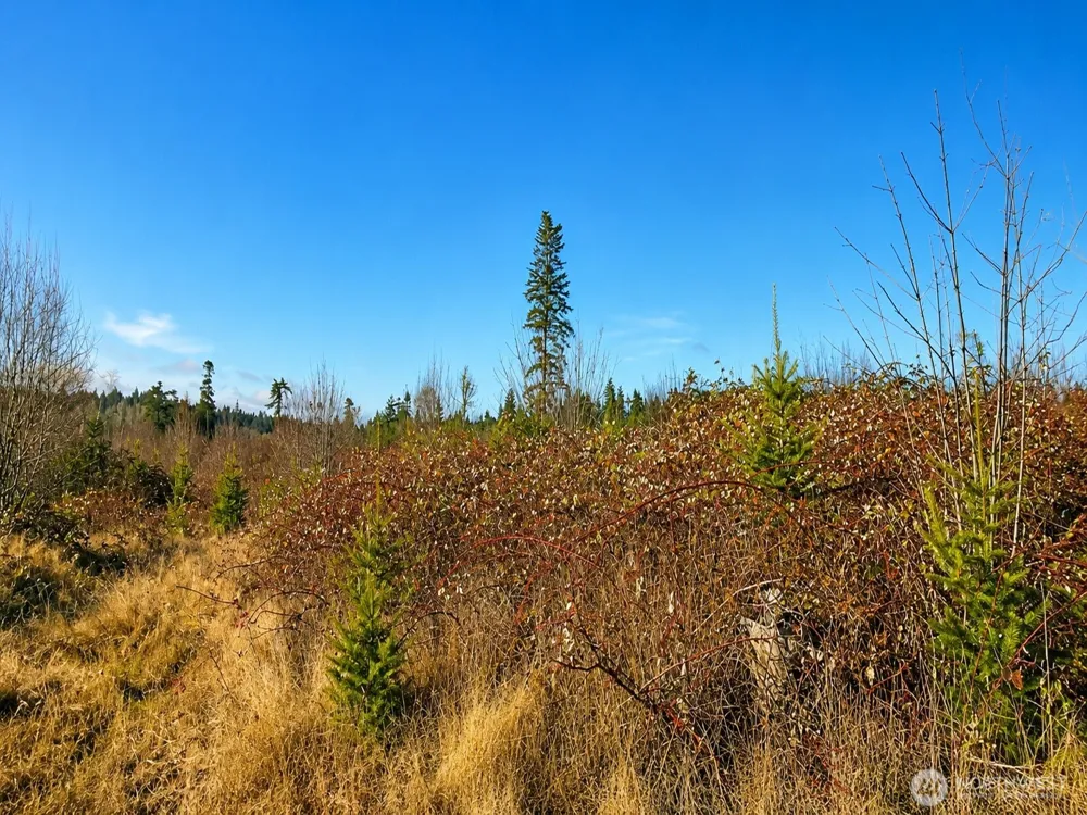 0 0 Kingston, WA 98364