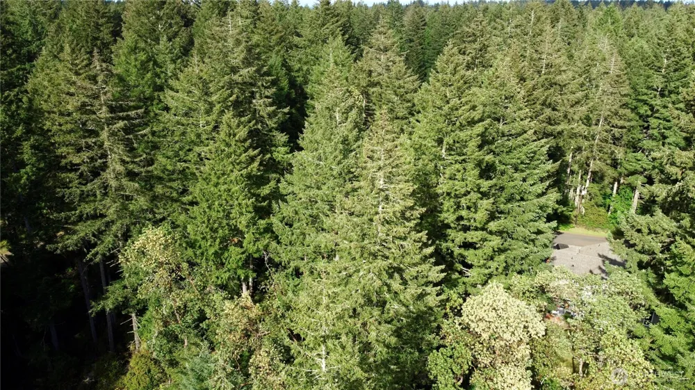 12027 Country Club Drive Anderson Island, WA 98303
