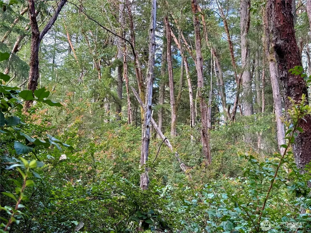 12027 Country Club Drive Anderson Island, WA 98303