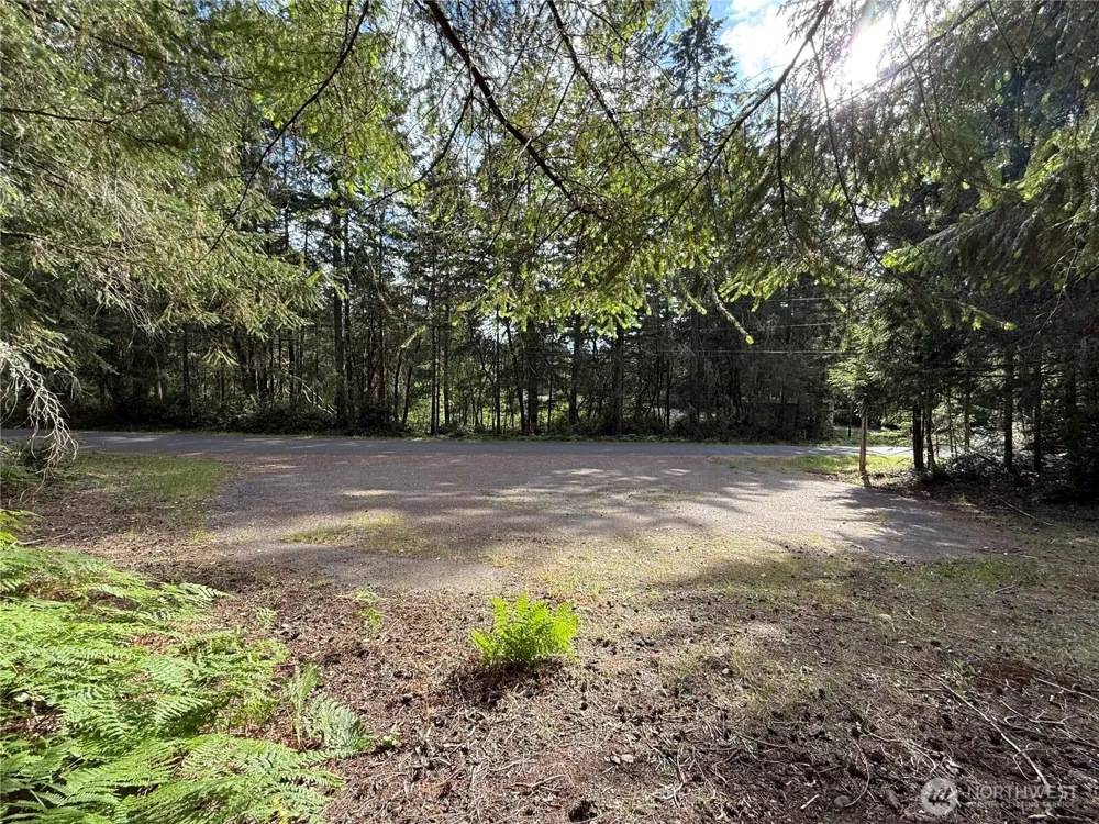 12027 Country Club Drive Anderson Island, WA 98303