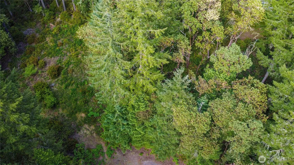 12027 Country Club Drive Anderson Island, WA 98303