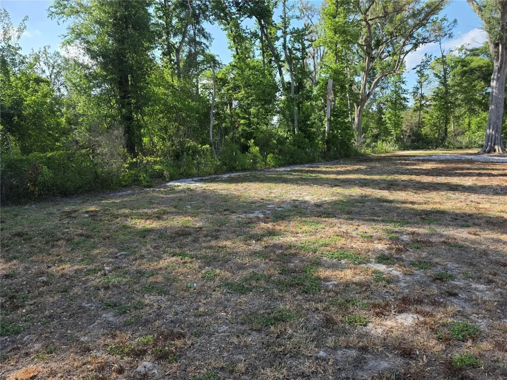 142 NE 112TH AVENUE Old Town, FL 32680