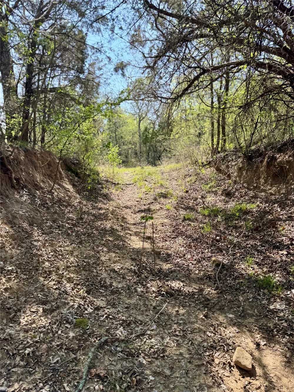 FM 1885 Perrin, TX 76486