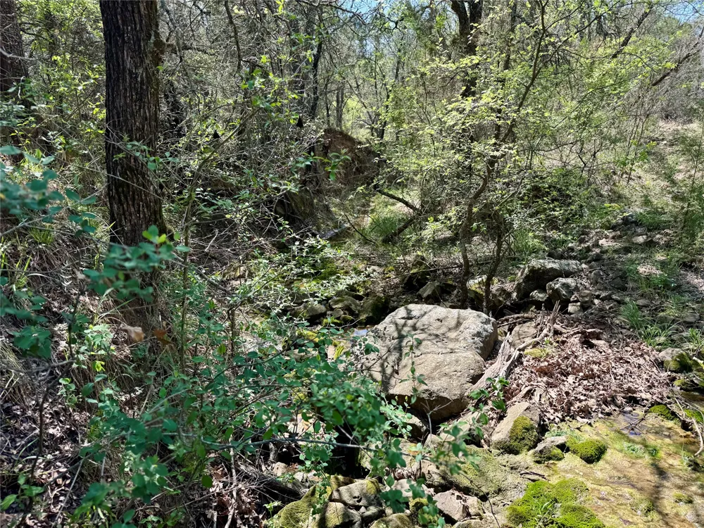 FM 1885 Perrin, TX 76486