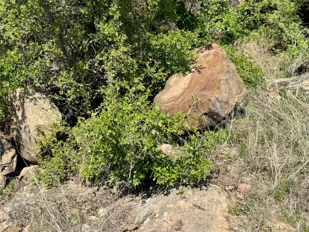 FM 1885 Perrin, TX 76486