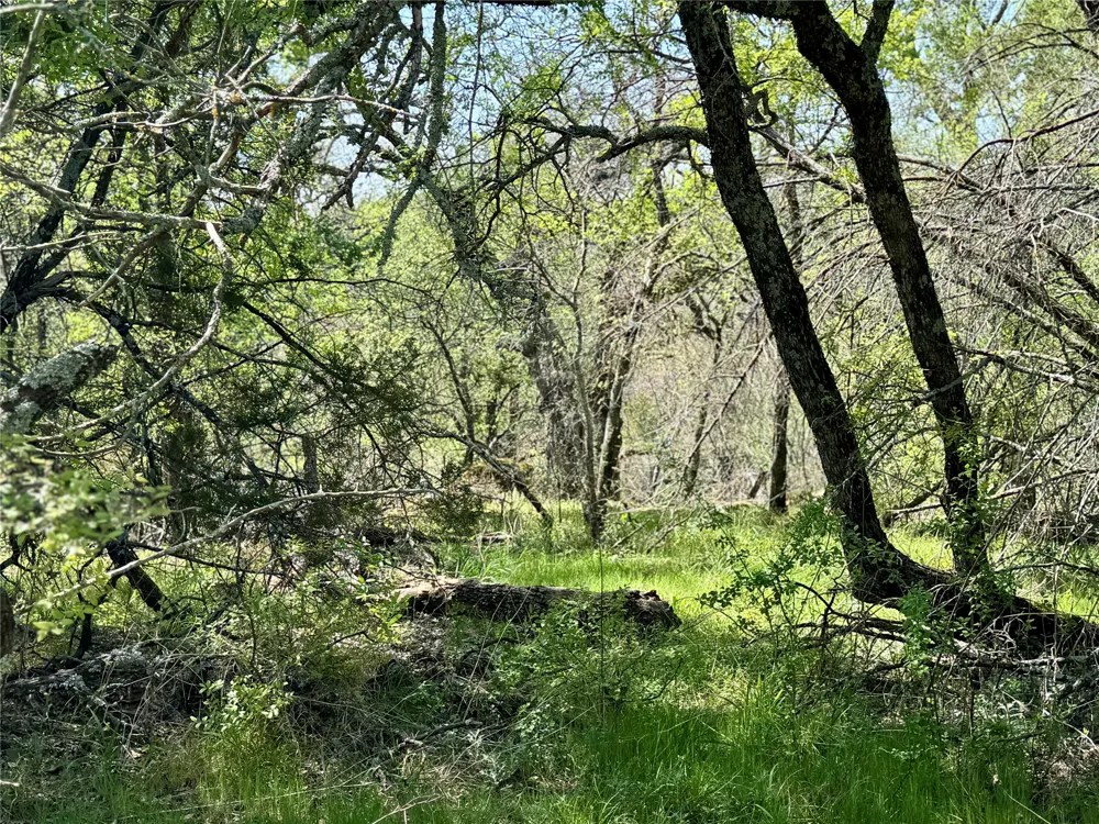 FM 1885 Perrin, TX 76486