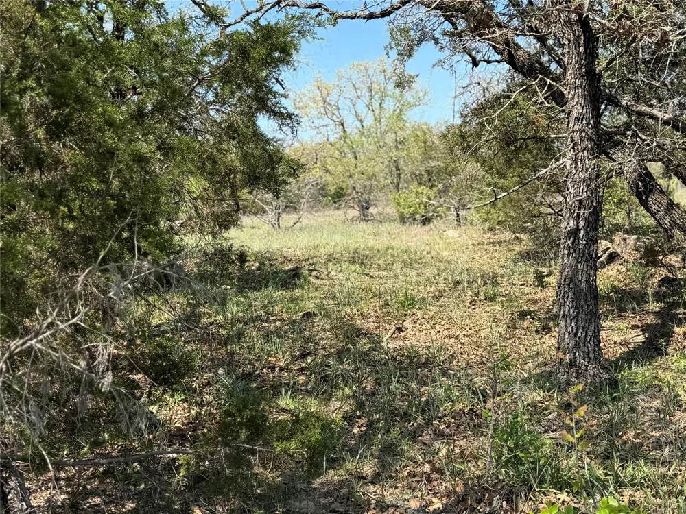 FM 1885 Perrin, TX 76486