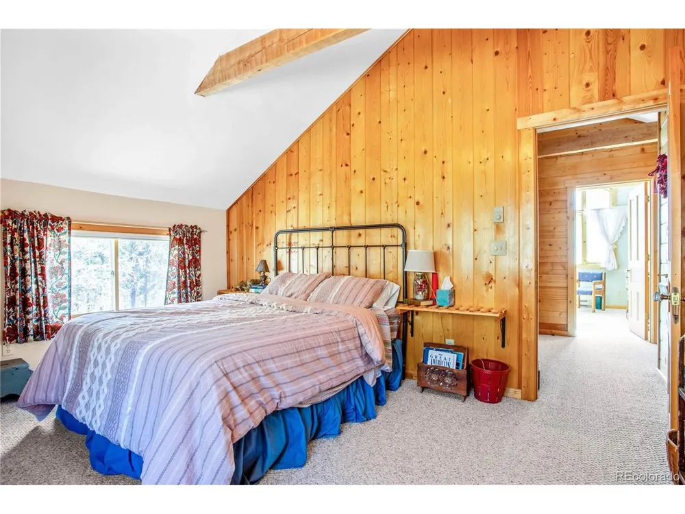 22590 County Road 292a Nathrop, CO 81236