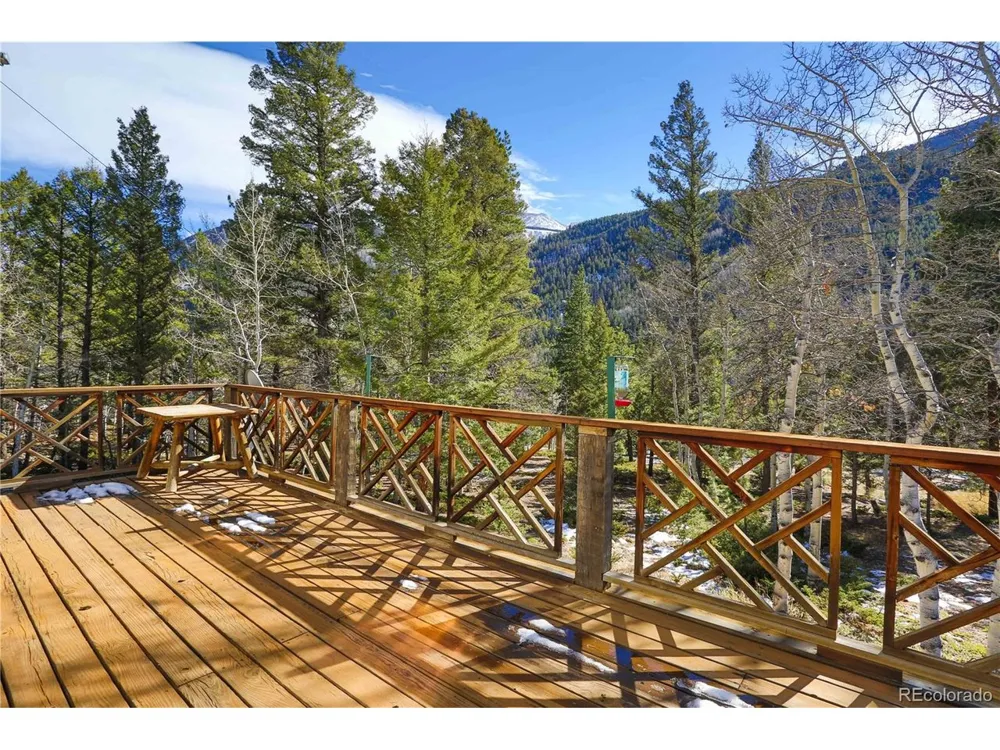 22590 County Road 292a Nathrop, CO 81236