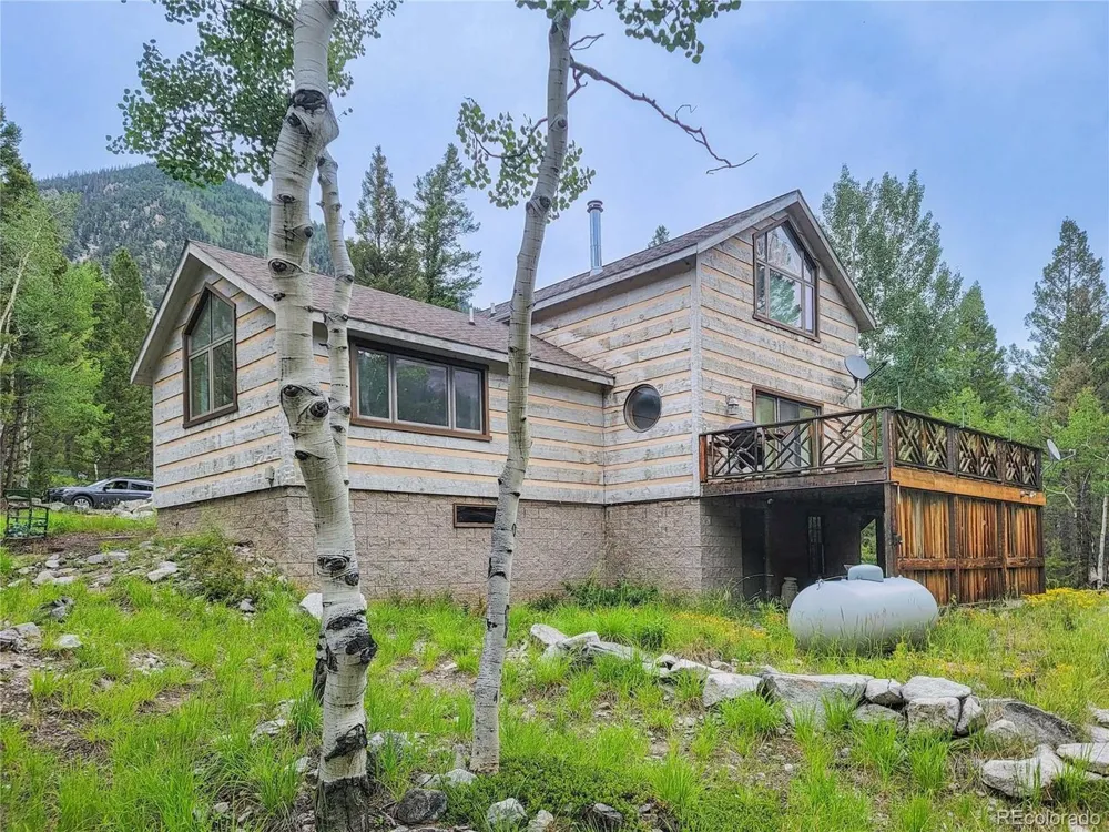 22590 County Road 292a Nathrop, CO 81236