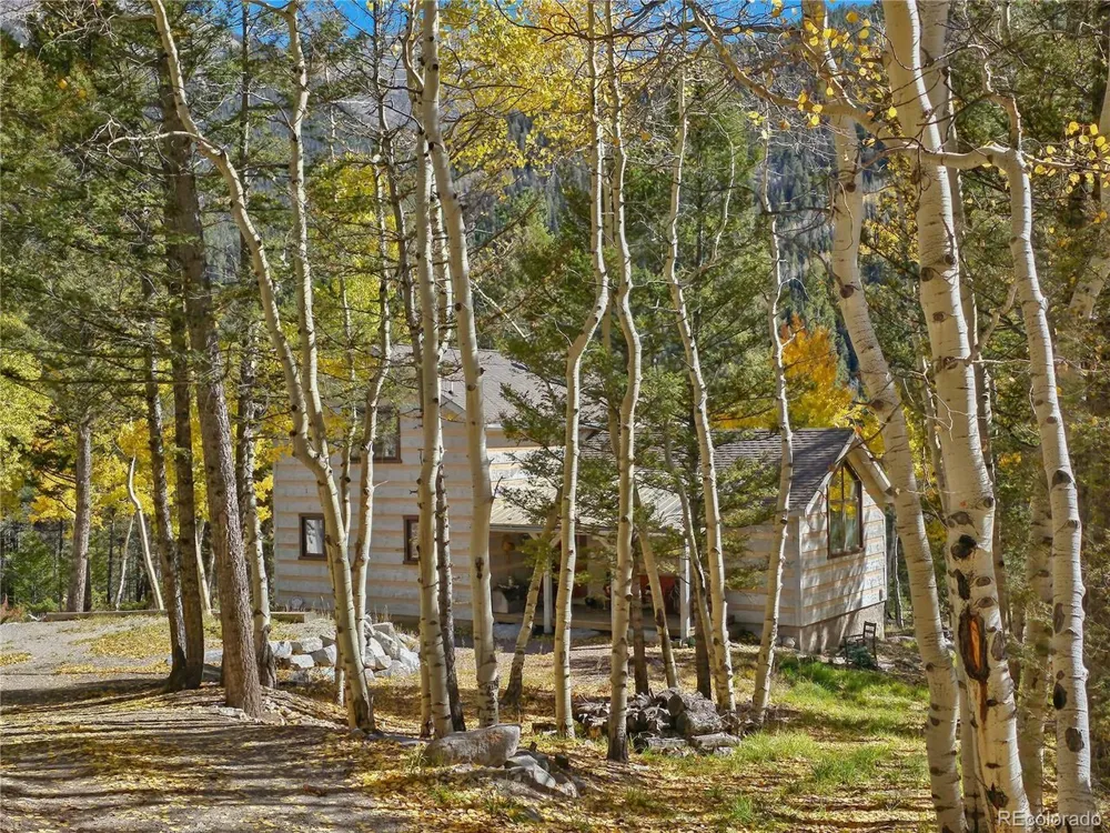 22590 County Road 292a Nathrop, CO 81236