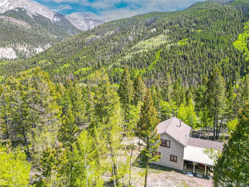 22590 County Road 292a Nathrop, CO 81236