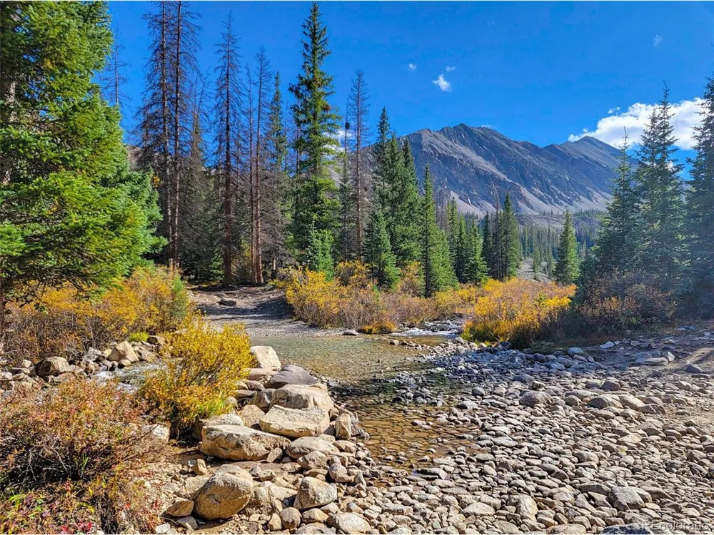 22590 County Road 292a Nathrop, CO 81236