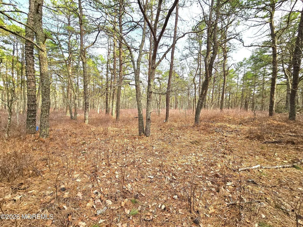 17 Pinewood Drive Little Egg Harbor, NJ 08087
