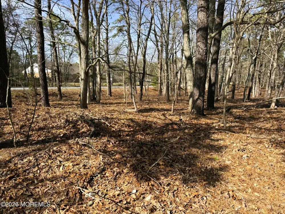 17 Pinewood Drive Little Egg Harbor, NJ 08087