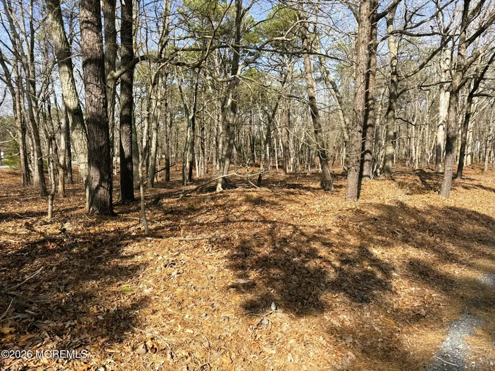 17 Pinewood Drive Little Egg Harbor, NJ 08087