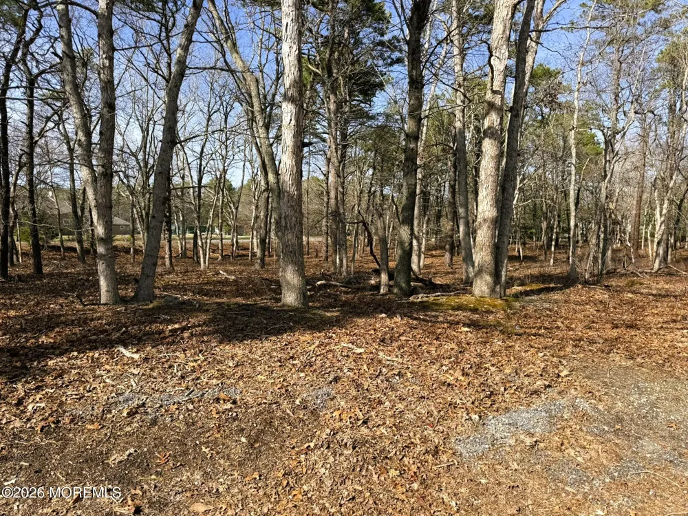 17 Pinewood Drive Little Egg Harbor, NJ 08087
