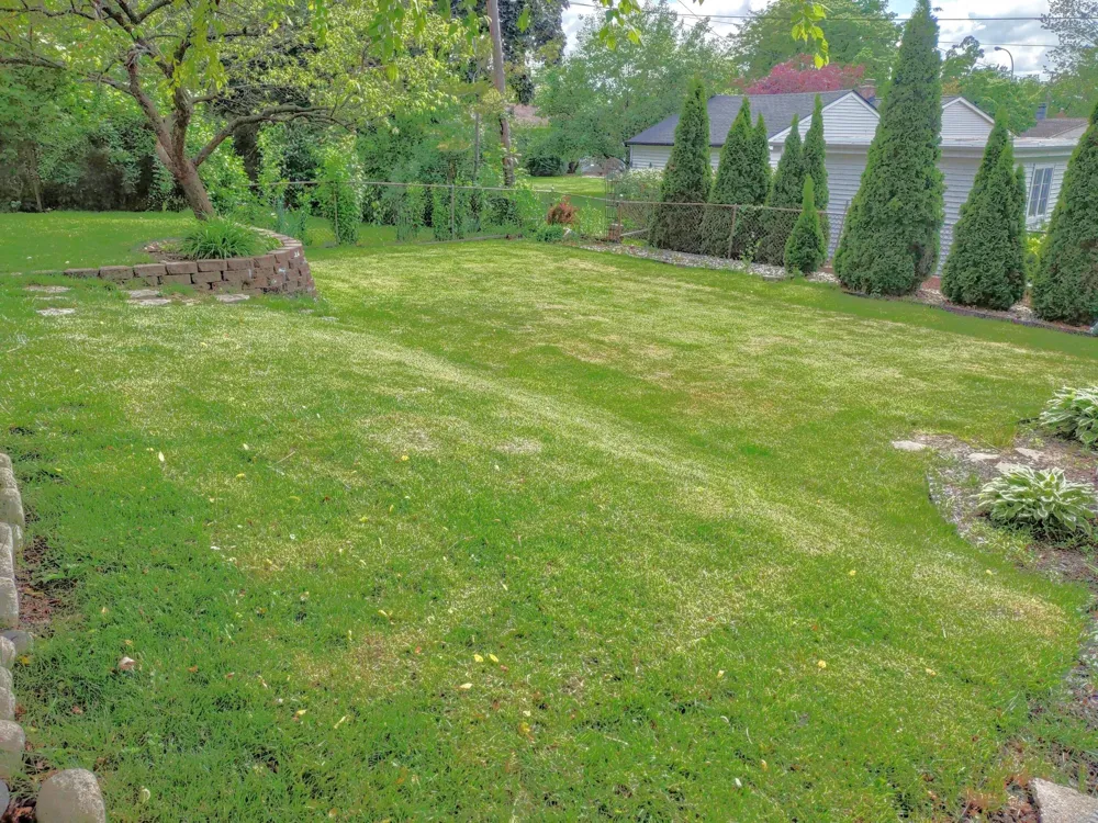 2410 Middlefield Road Trenton, MI 48183
