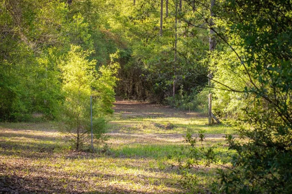 11418 NW 161ST STREET Alachua, FL 32615