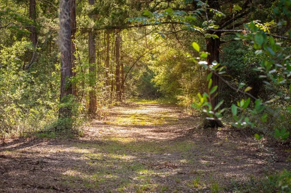 11418 NW 161ST STREET Alachua, FL 32615