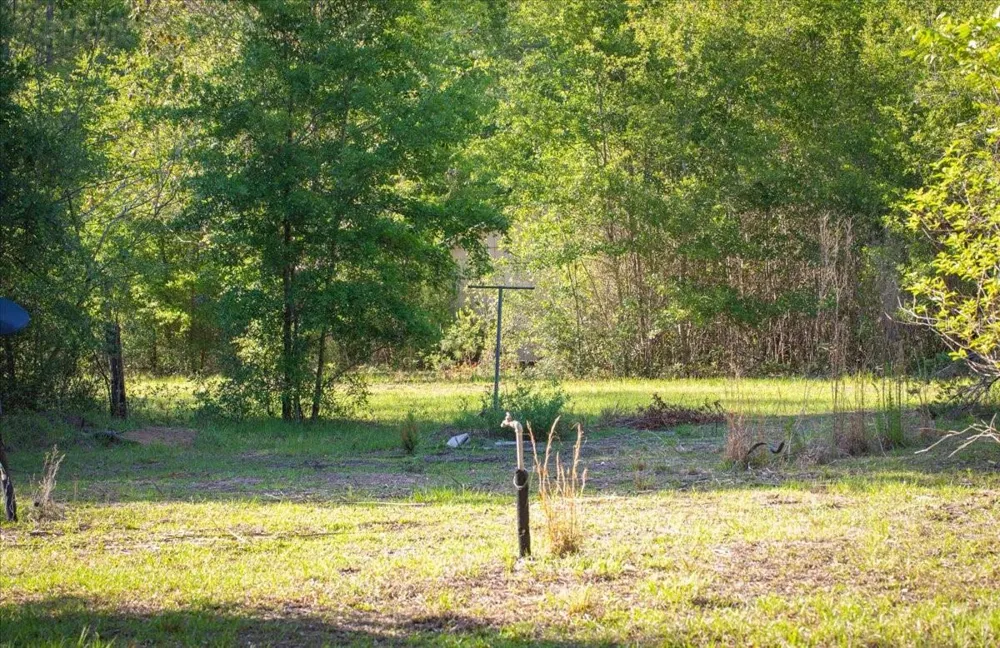 11418 NW 161ST STREET Alachua, FL 32615