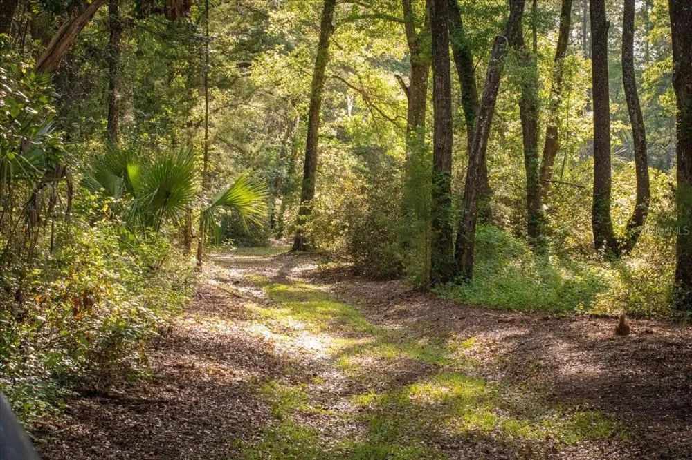 11418 NW 161ST STREET Alachua, FL 32615