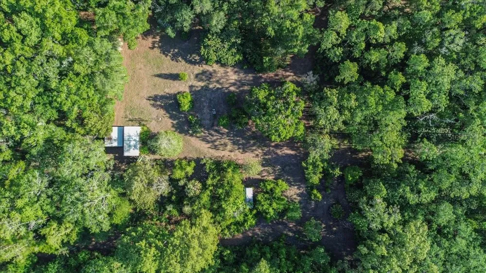 11418 NW 161ST STREET Alachua, FL 32615